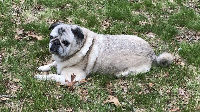 Farewell, Old Friend!